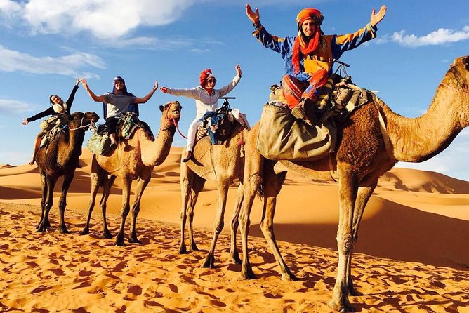 PDV-CuredeJoie-15 Chamelier heureux dans le Sahara